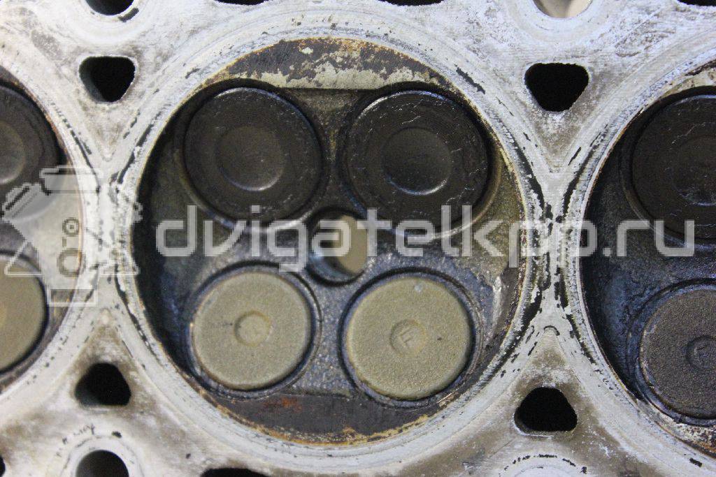 Фото Головка блока  1560511 для Mazda / Ford Australia / Eunos {forloop.counter}}