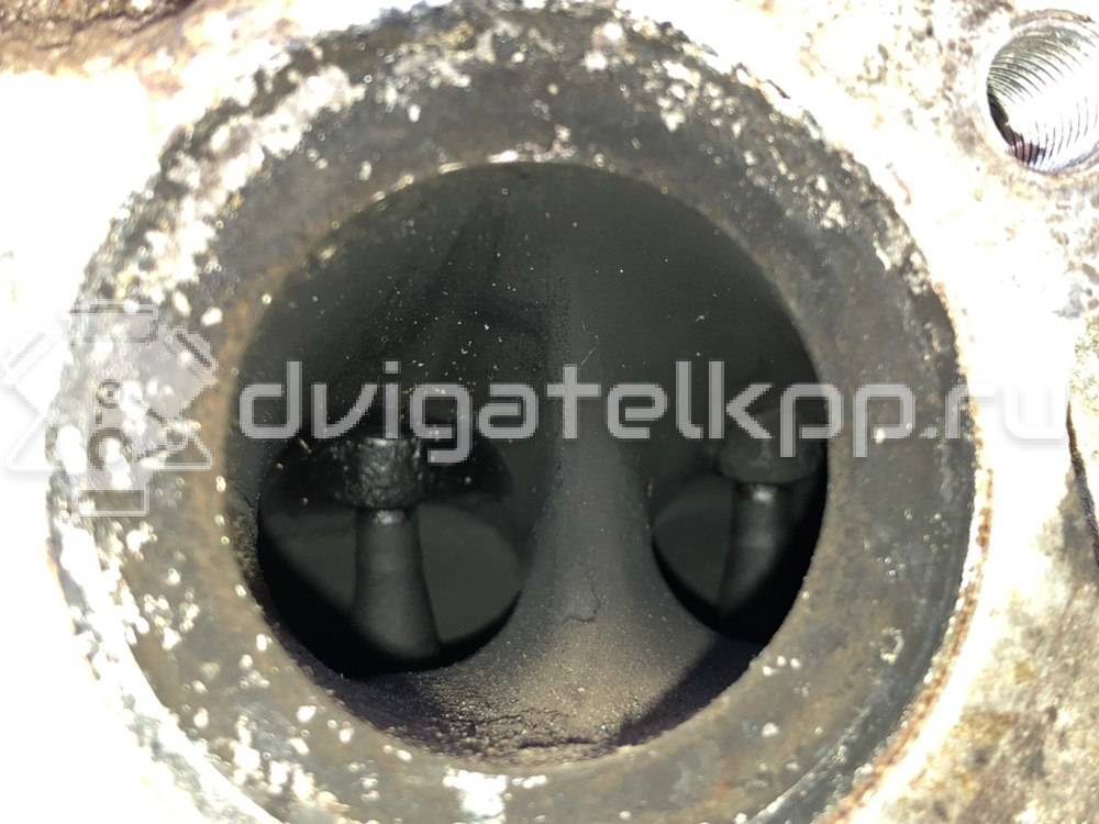 Фото Головка блока для двигателя 6B31 для Mitsubishi (Gac) / Mitsubishi 252 л.с 24V 3.0 л бензин 1005B202 {forloop.counter}}