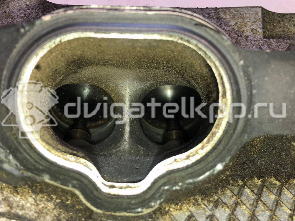 Фото Головка блока для двигателя 6B31 для Mitsubishi (Gac) / Mitsubishi 252 л.с 24V 3.0 л бензин 1005B202 {forloop.counter}}