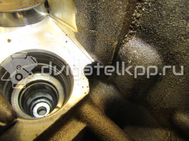 Фото Головка блока  03G103351C для Audi A3 / 80 / A4 / A6 {forloop.counter}}