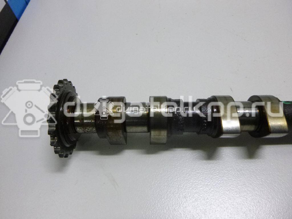 Фото Распредвал выпускной  058109022B для Audi A3 / Tt / A4 / A6 {forloop.counter}}