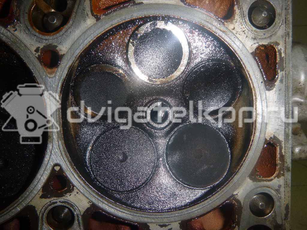 Фото Головка блока  078103068BH для Audi Allroad / A6 {forloop.counter}}