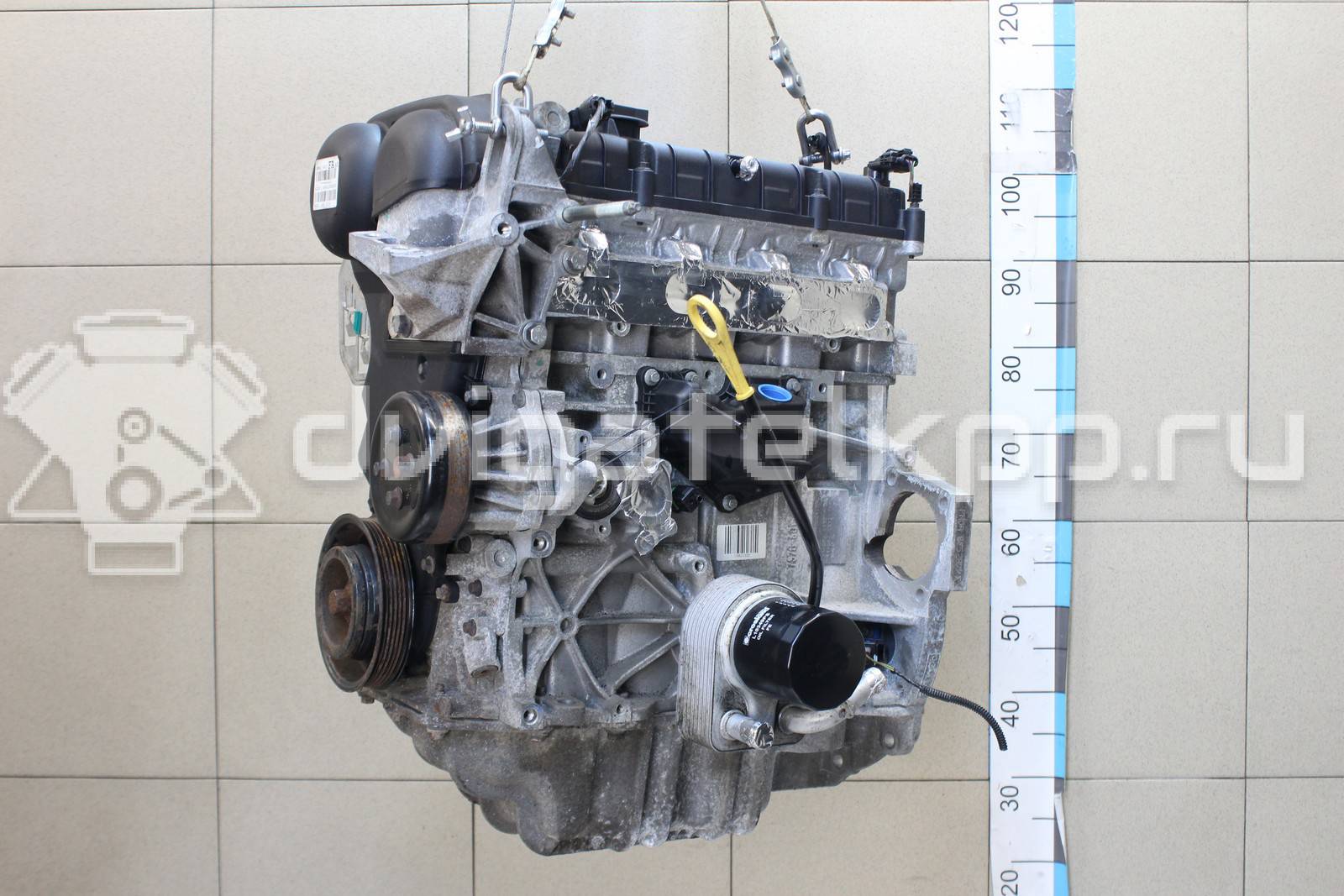 Фото Контрактный (б/у) двигатель CT для Volkswagen / Ford (Changan) 110 л.с 16V 1.5 л бензин 1752082 {forloop.counter}}