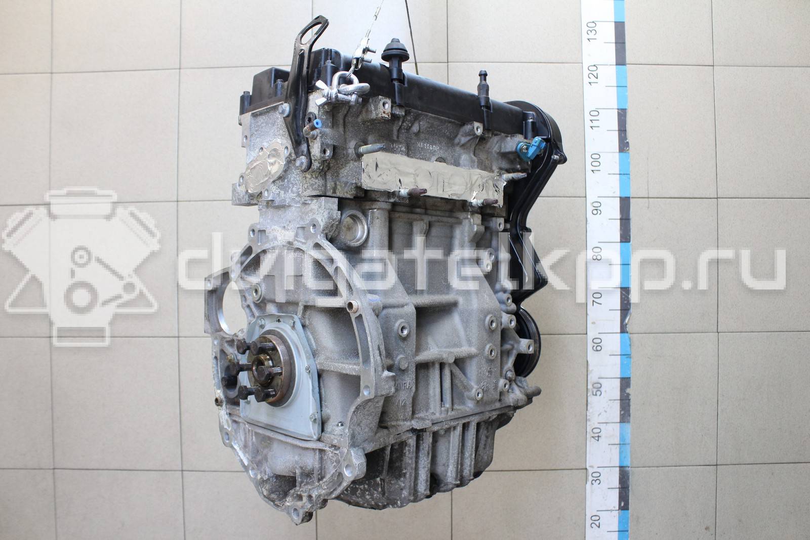 Фото Контрактный (б/у) двигатель FYJB для Ford Australia / Ford Asia / Oceania 100 л.с 16V 1.6 л бензин 1571097 {forloop.counter}}