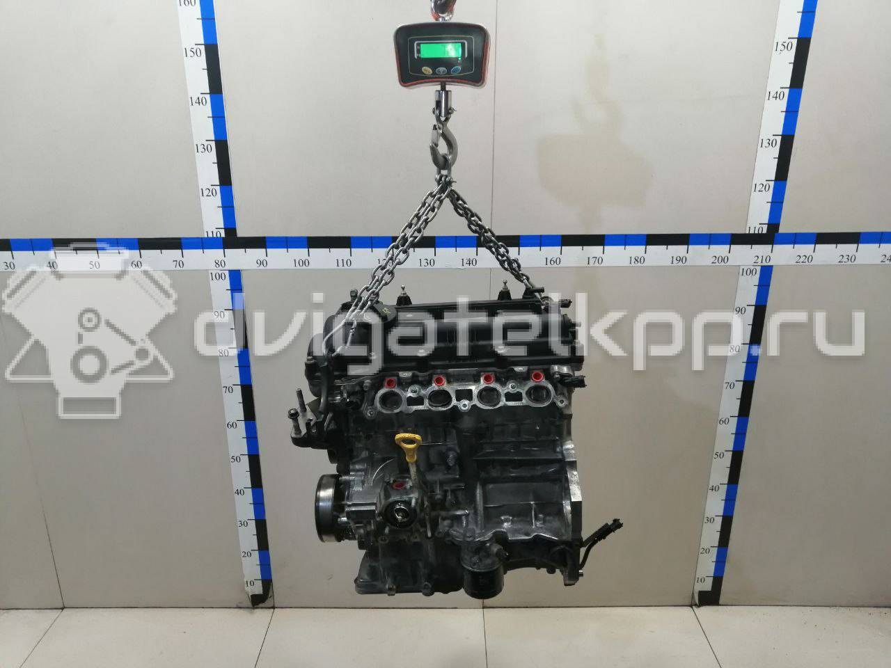 Фото Контрактный (б/у) двигатель G4FG для Hyundai (Beijing) / Hyundai / Kia 123-128 л.с 16V 1.6 л бензин Z71312BZ00 {forloop.counter}}