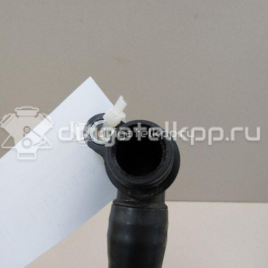 Фото Трубка картерных газов  03C103493AM для Seat Toledo