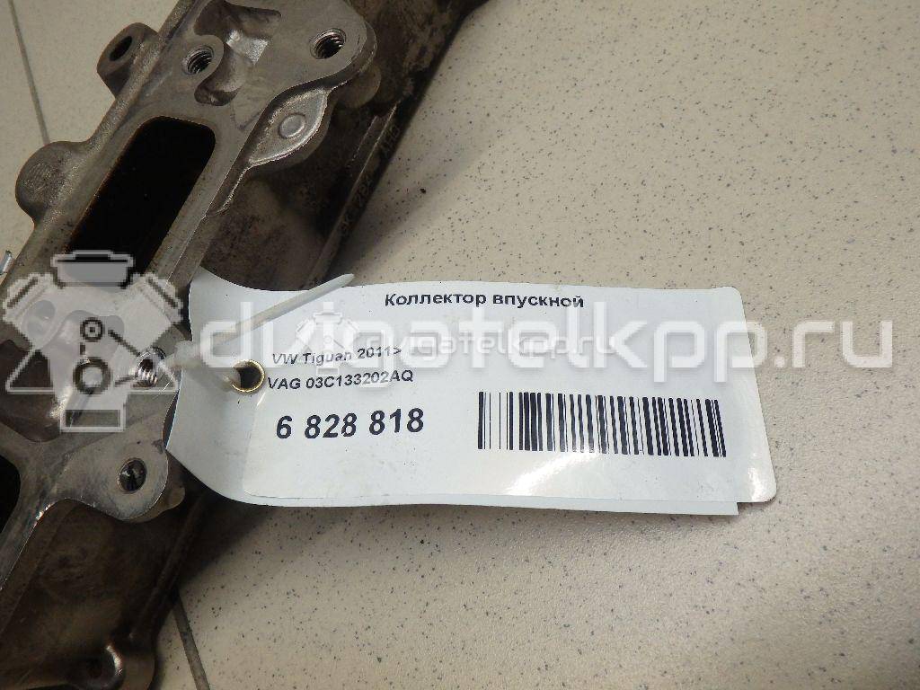 Фото Коллектор впускной  03c133202aq для Seat Toledo {forloop.counter}}