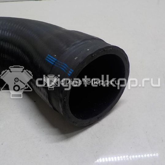 Фото Патрубок интеркулера  1J0145838B для Seat Leon / Toledo