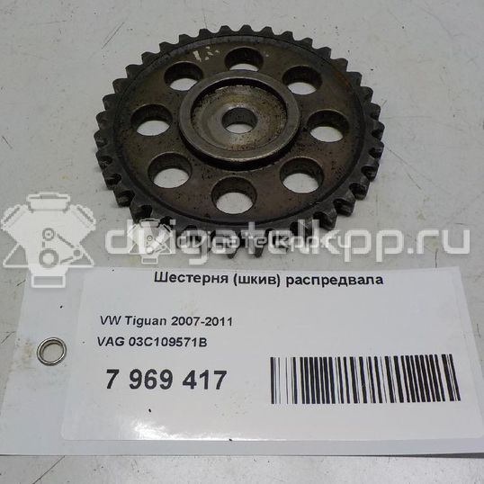 Фото Шестерня (шкив) распредвала  03c109571b для Seat Leon / Toledo / Altea