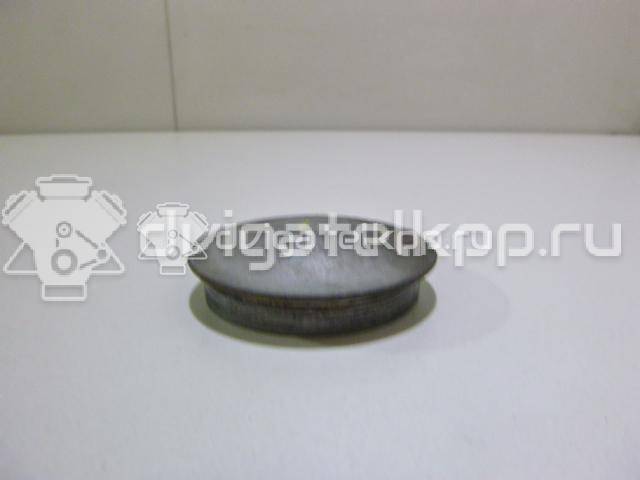 Фото Колпачок ступицы  8200649356 для Renault 11 / Megane / Clio / 19 / Laguna {forloop.counter}}