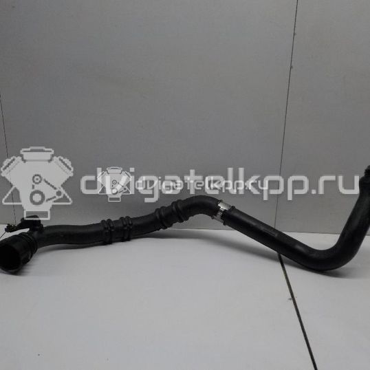 Фото Патрубок интеркулера  8200688708 для Renault Thalia 2 / Fluence L30 / Kangoo 1 / Megane