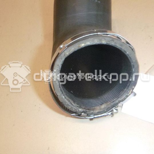 Фото Патрубок интеркулера  1k0145838ag для Skoda Octavia / Yeti 5L / Octaviaii 1Z3 / Superb