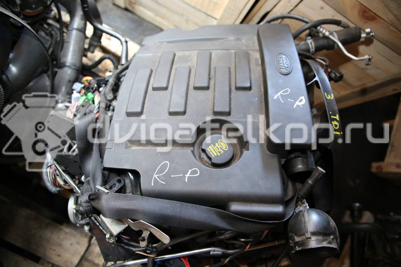 Фото Контрактный (б/у) двигатель 306DT для Land Rover Range Rover / Discovery 211-340 л.с 24V 3.0 л Дизельное топливо {forloop.counter}}