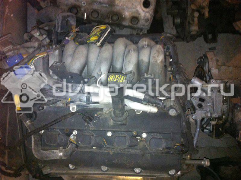 Фото Контрактный (б/у) двигатель 448PN для Land Rover Range Rover / Discovery 299-306 л.с 32V 4.4 л бензин {forloop.counter}}