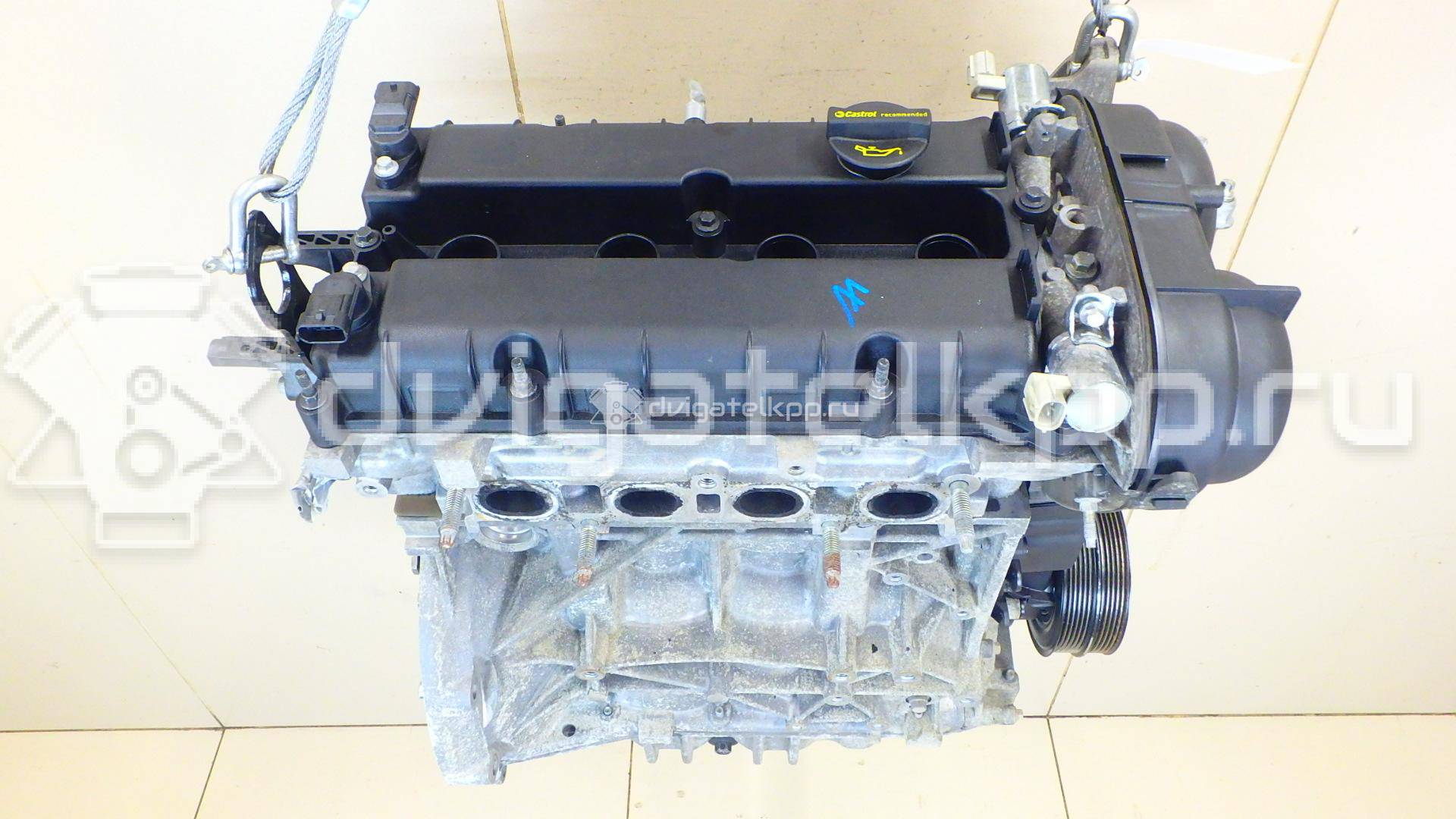 Фото Контрактный (б/у) двигатель CT для Volkswagen / Ford (Changan) 110 л.с 16V 1.5 л бензин 1727626 {forloop.counter}}