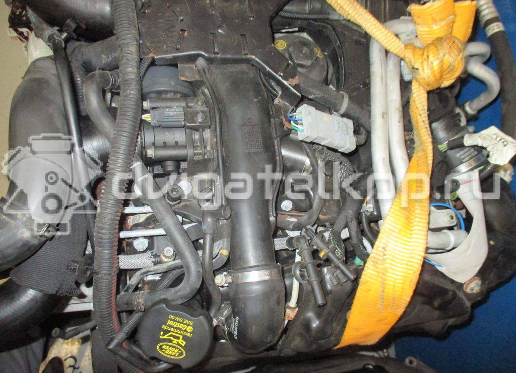 Фото Контрактный (б/у) двигатель 368DT для Land Rover Range Rover 272 л.с 32V 3.6 л Дизельное топливо {forloop.counter}}