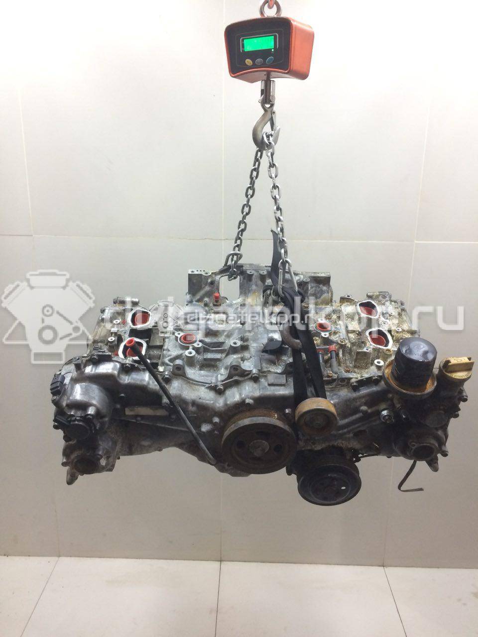 Фото Контрактный (б/у) двигатель FB25B для Subaru Legacy / Outback 173 л.с 16V 2.5 л бензин 10100BV980 {forloop.counter}}