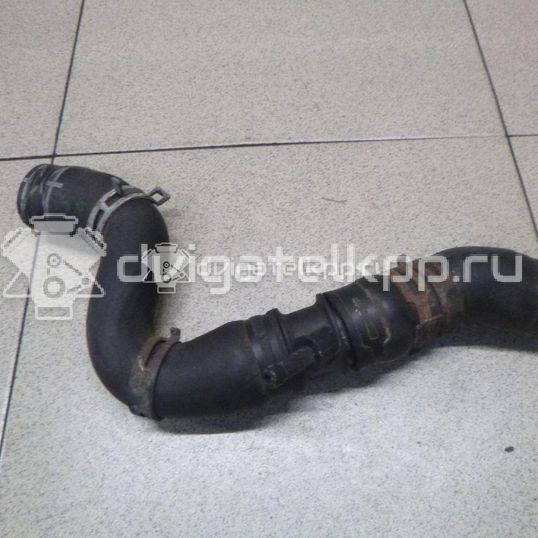 Фото Патрубок радиатора  6Q0122101CD для Skoda Fabia