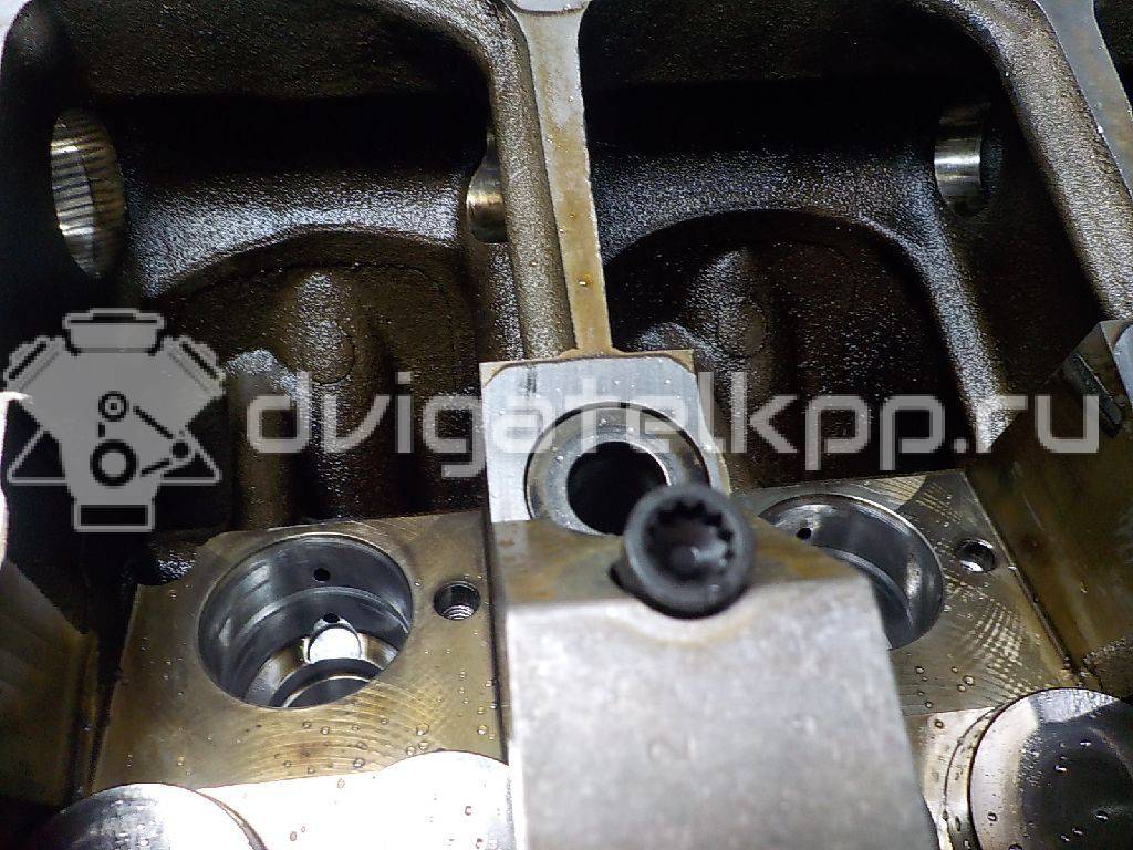 Фото Головка блока  038103373R для vw Transporter T5 {forloop.counter}}