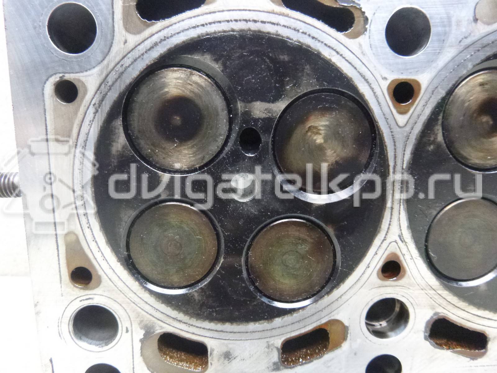 Фото Головка блока  03l103351f для Seat Ibiza / Leon / Alhambra / Altea / Exeo {forloop.counter}}