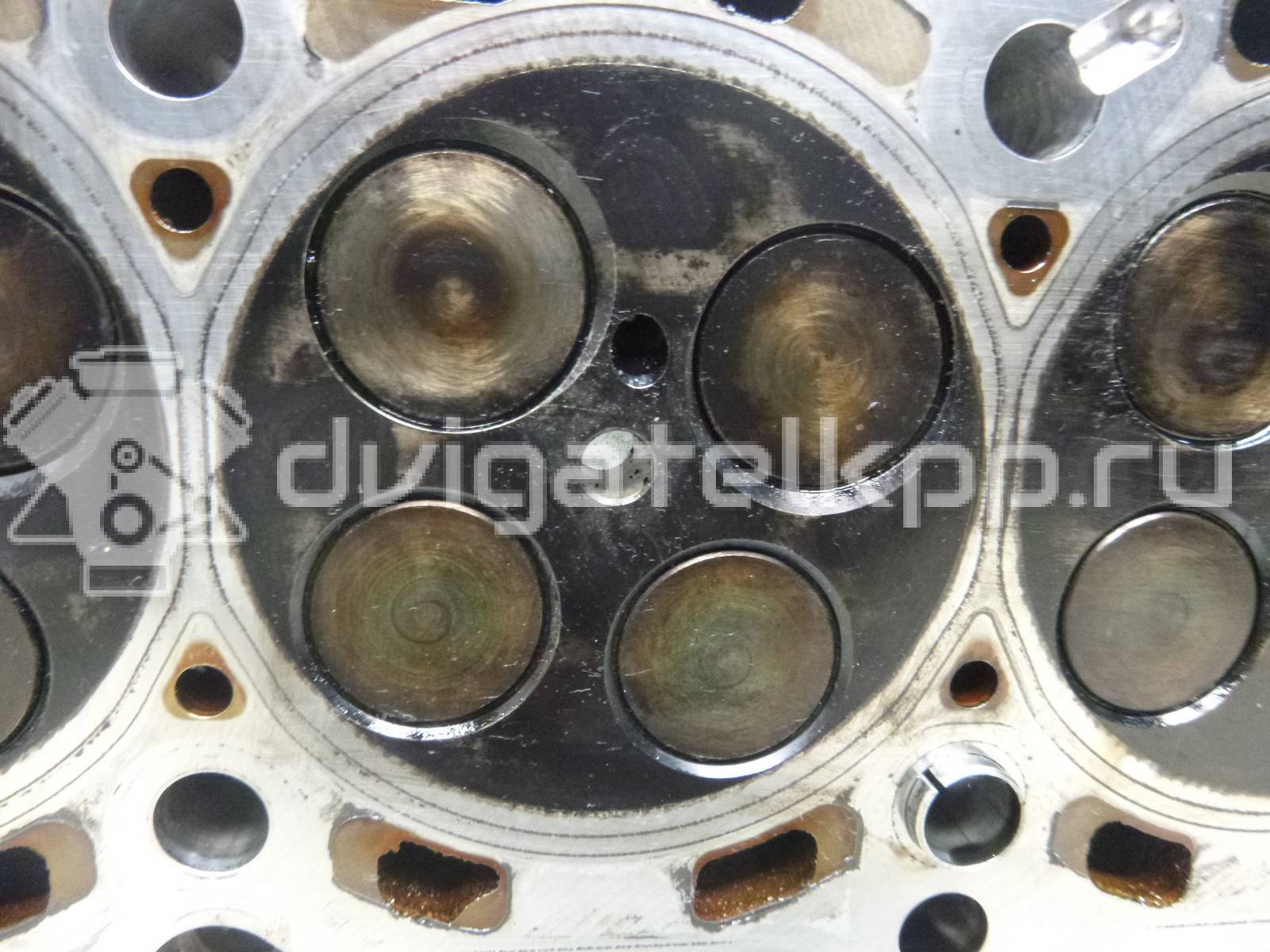 Фото Головка блока  03l103351f для Seat Ibiza / Leon / Alhambra / Altea / Exeo {forloop.counter}}