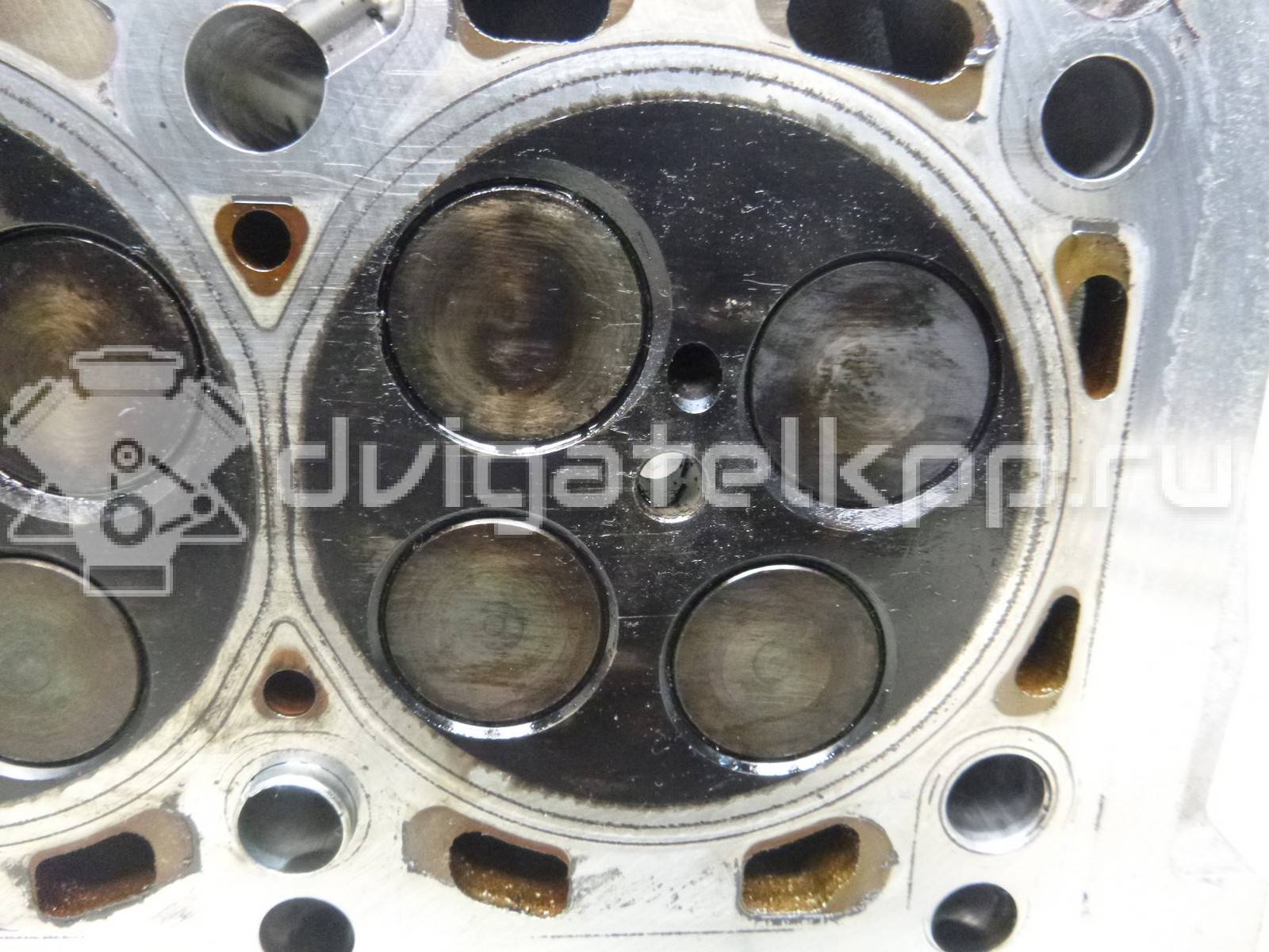 Фото Головка блока  03l103351f для Seat Ibiza / Leon / Alhambra / Altea / Exeo {forloop.counter}}