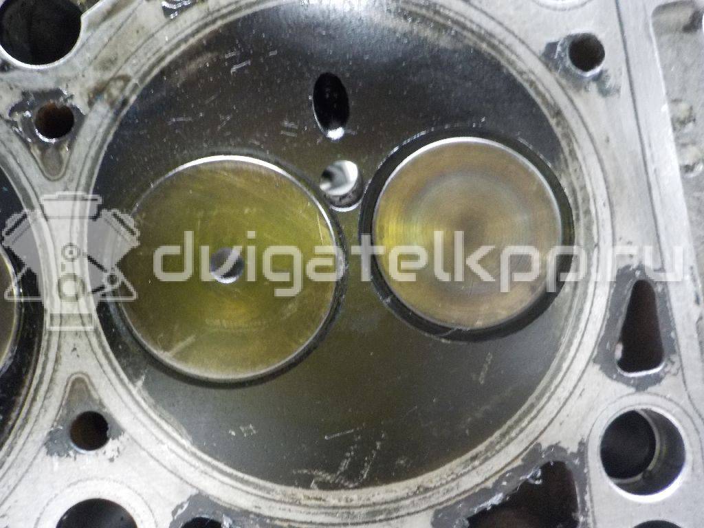 Фото Головка блока для двигателя AMF для Volkswagen Polo / Lupo 6X1, 6E1 75 л.с 6V 1.4 л Дизельное топливо 045103351A {forloop.counter}}