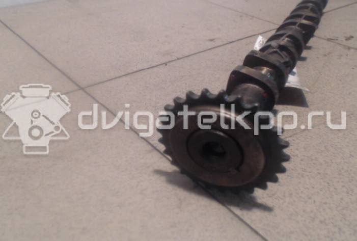 Фото Распредвал выпускной  2420026800 для Hyundai Accent / Getz Tb {forloop.counter}}