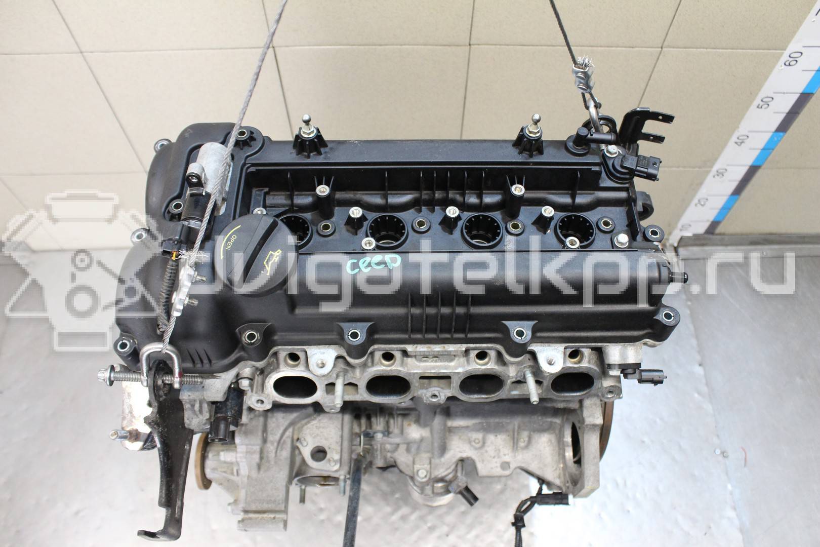 Фото Контрактный (б/у) двигатель G4FG для Hyundai / Kia 120-132 л.с 16V 1.6 л бензин Z71312BZ00 {forloop.counter}}