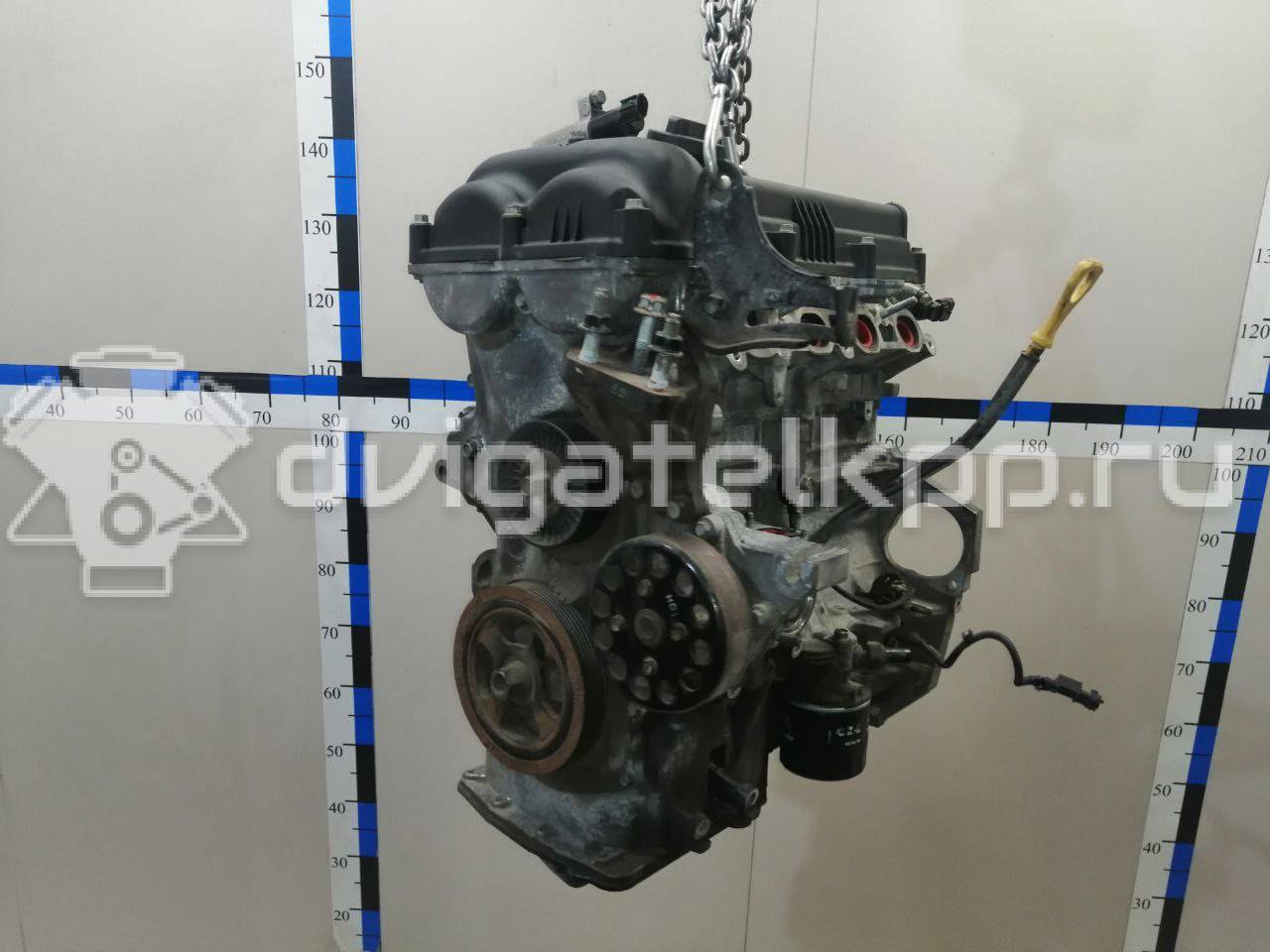 Фото Контрактный (б/у) двигатель G4FG для Hyundai (Beijing) / Hyundai / Kia 123-128 л.с 16V 1.6 л бензин Z71312BZ00 {forloop.counter}}