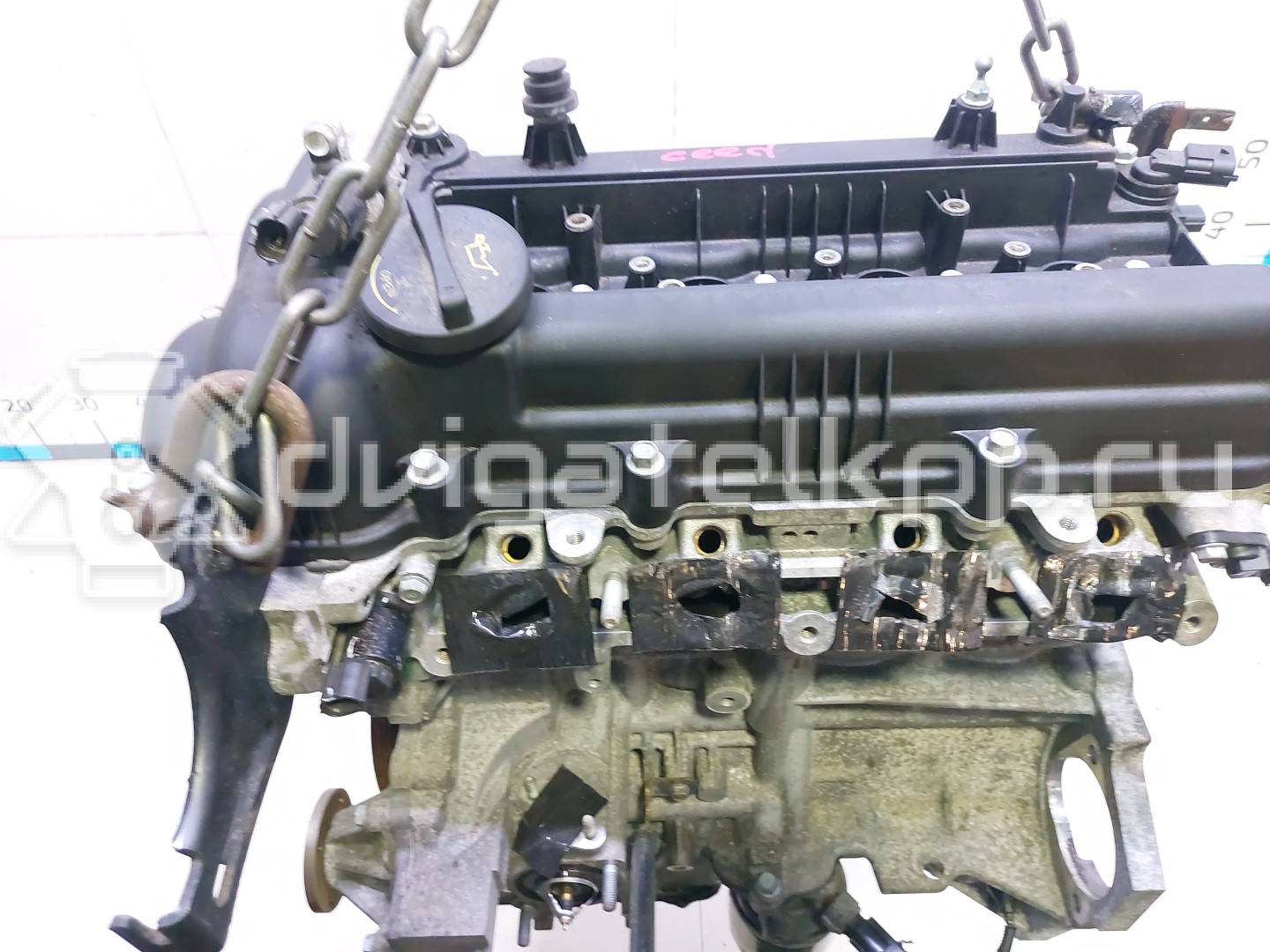 Фото Контрактный (б/у) двигатель G4FG для Hyundai / Kia 120-132 л.с 16V 1.6 л бензин Z71312BZ00 {forloop.counter}}