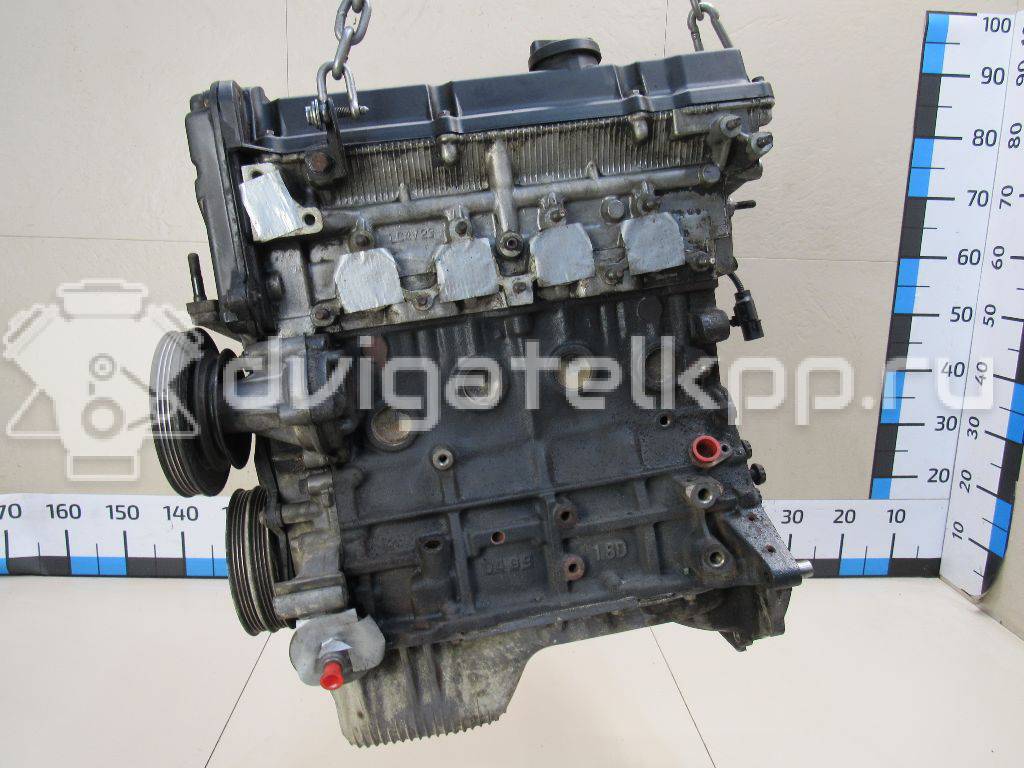 Фото Контрактный (б/у) двигатель G4ED-G для Hyundai Tiburon / Getz Tb / Matrix Fc / Accent / Elantra 103-107 л.с 16V 1.6 л бензин 2110126C50 {forloop.counter}}