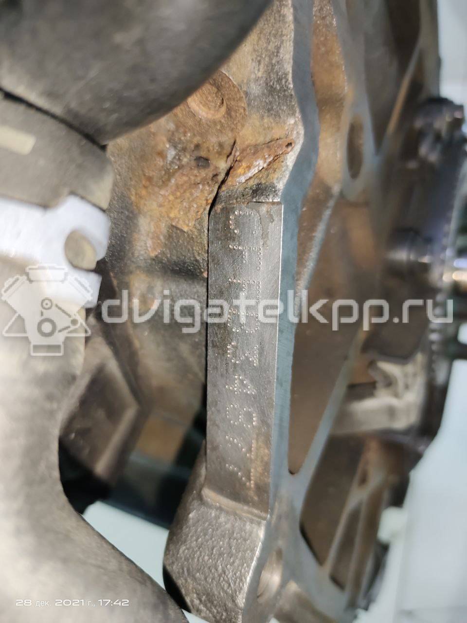 Фото Контрактный (б/у) двигатель CFFB для Volkswagen / Audi 140 л.с 16V 2.0 л Дизельное топливо 03L100090J {forloop.counter}}