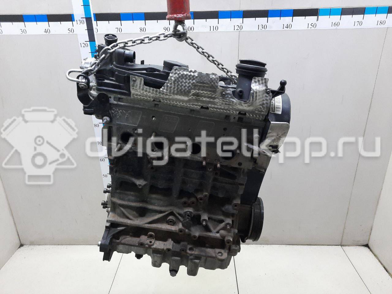 Фото Контрактный (б/у) двигатель CBBB для Volkswagen Passat 170 л.с 16V 2.0 л Дизельное топливо 03L100034F {forloop.counter}}