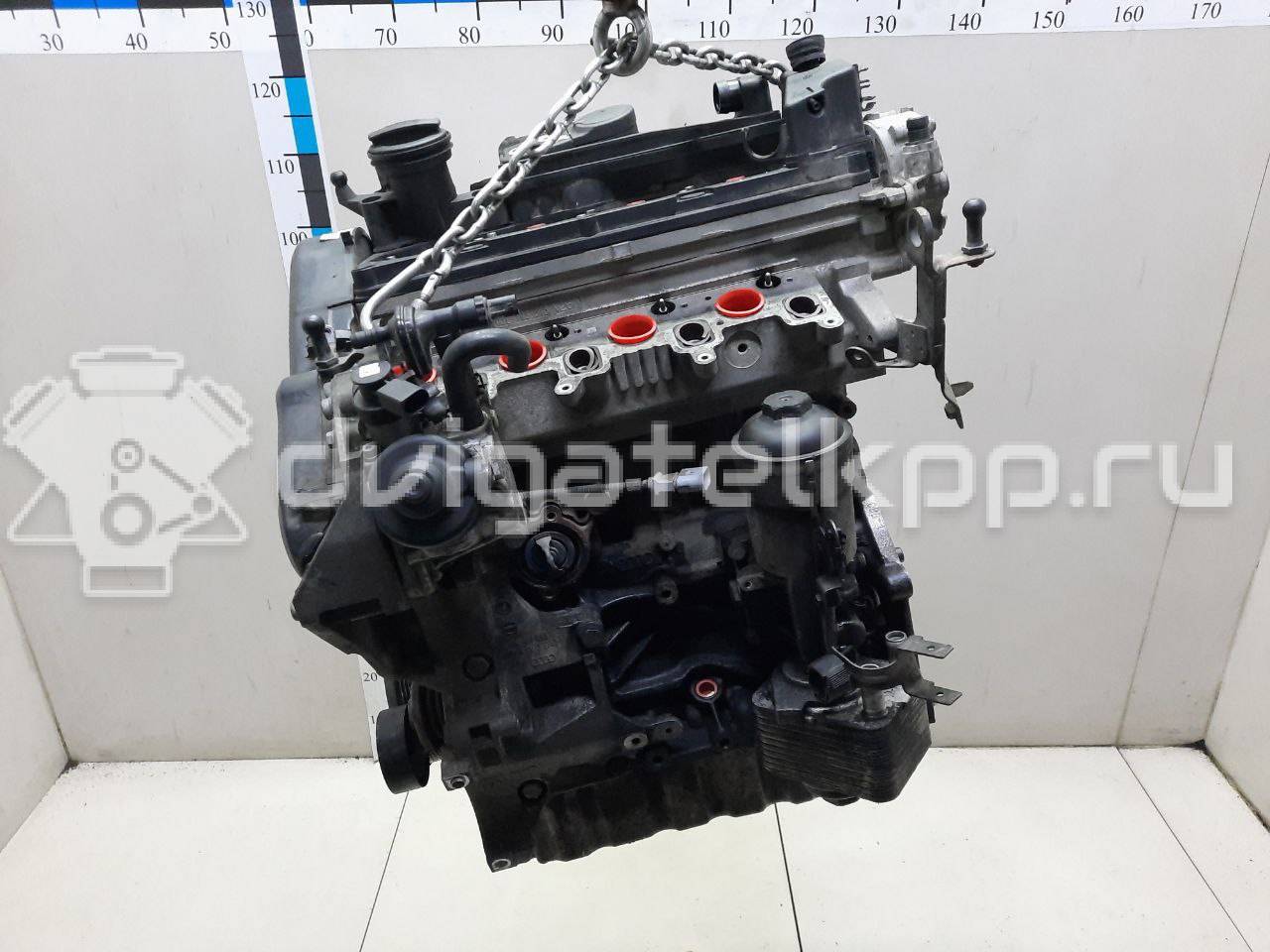 Фото Контрактный (б/у) двигатель CBAB для Volkswagen Passat 140 л.с 16V 2.0 л Дизельное топливо 03L100034F {forloop.counter}}