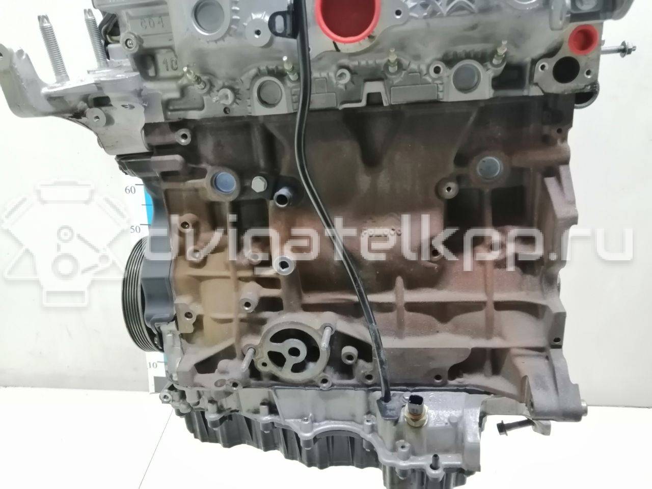 Фото Контрактный (б/у) двигатель T7MA для Ford Kuga 150 л.с 16V 2.0 л Дизельное топливо 1879655 {forloop.counter}}