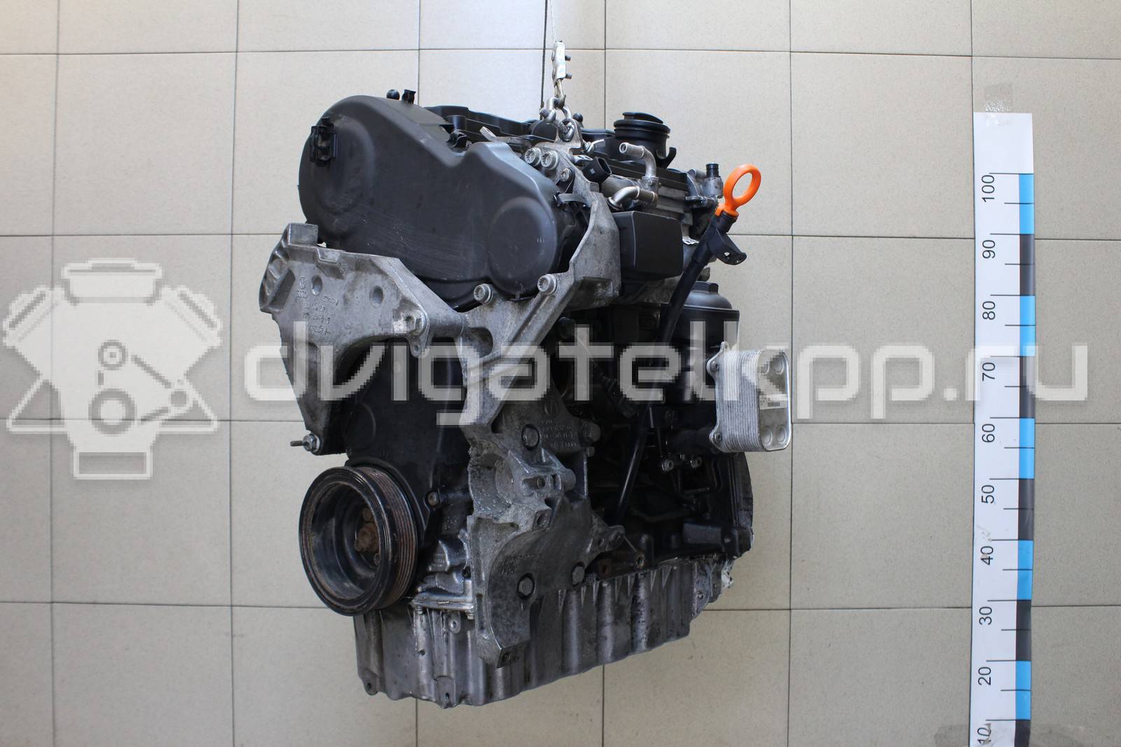 Фото Контрактный (б/у) двигатель CAYC для Volkswagen Touran / Golf / Passat / Beetle / Jetta 105 л.с 16V 1.6 л Дизельное топливо 03L100036M {forloop.counter}}