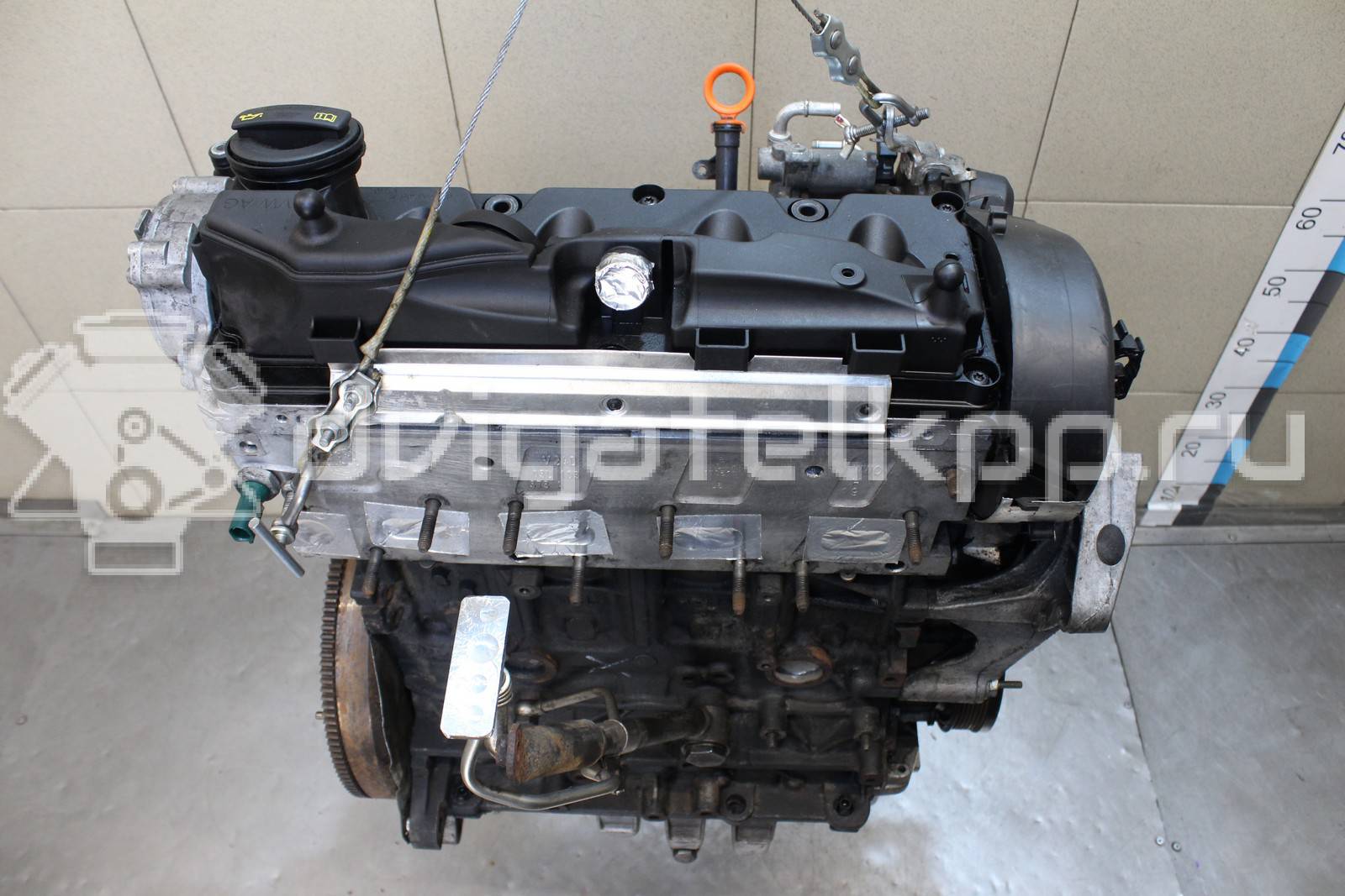 Фото Контрактный (б/у) двигатель CAYC для Volkswagen Touran / Golf / Passat / Beetle / Jetta 105 л.с 16V 1.6 л Дизельное топливо 03L100036M {forloop.counter}}