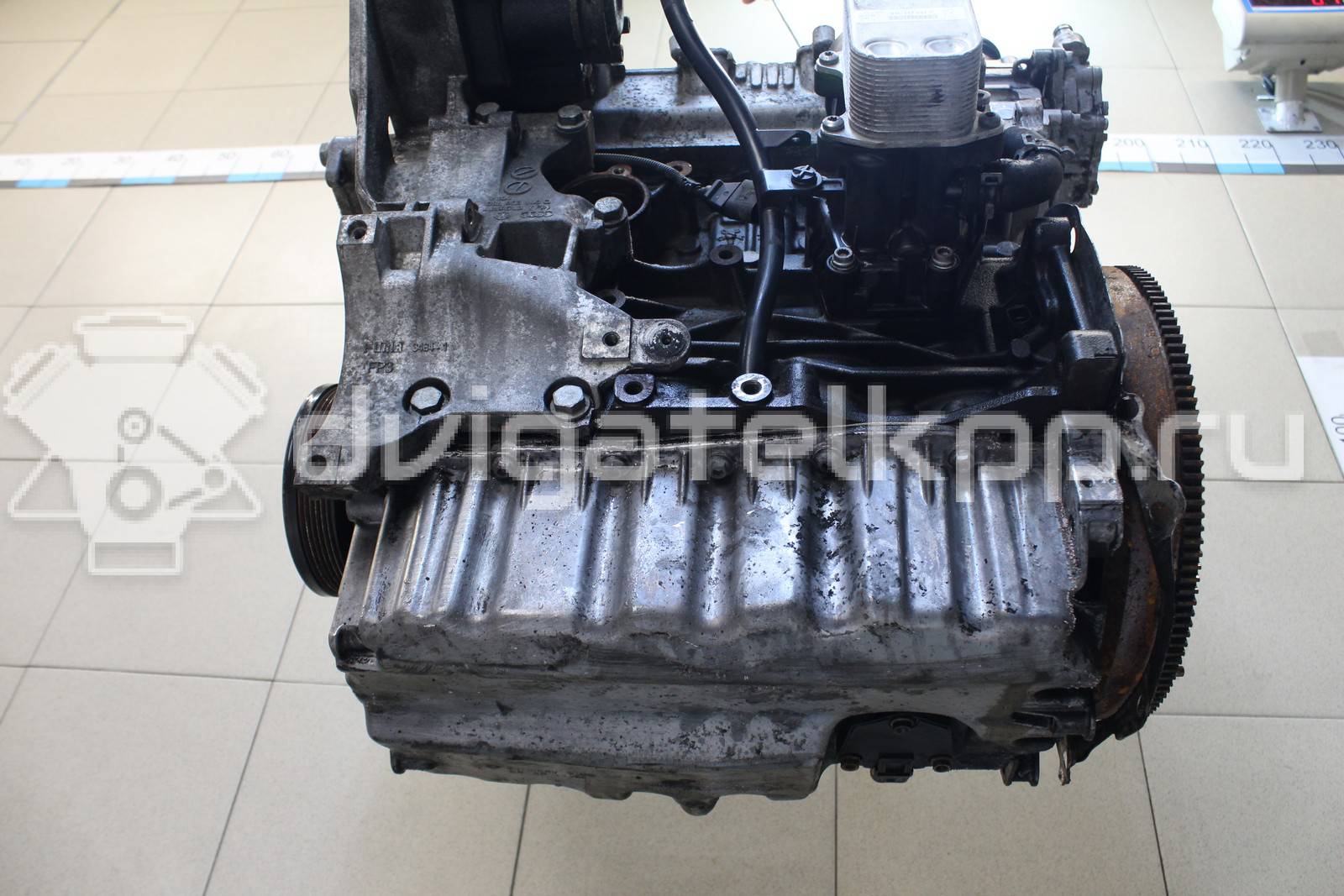 Фото Контрактный (б/у) двигатель CAYC для Volkswagen Touran / Golf / Passat / Beetle / Jetta 105 л.с 16V 1.6 л Дизельное топливо 03L100036M {forloop.counter}}