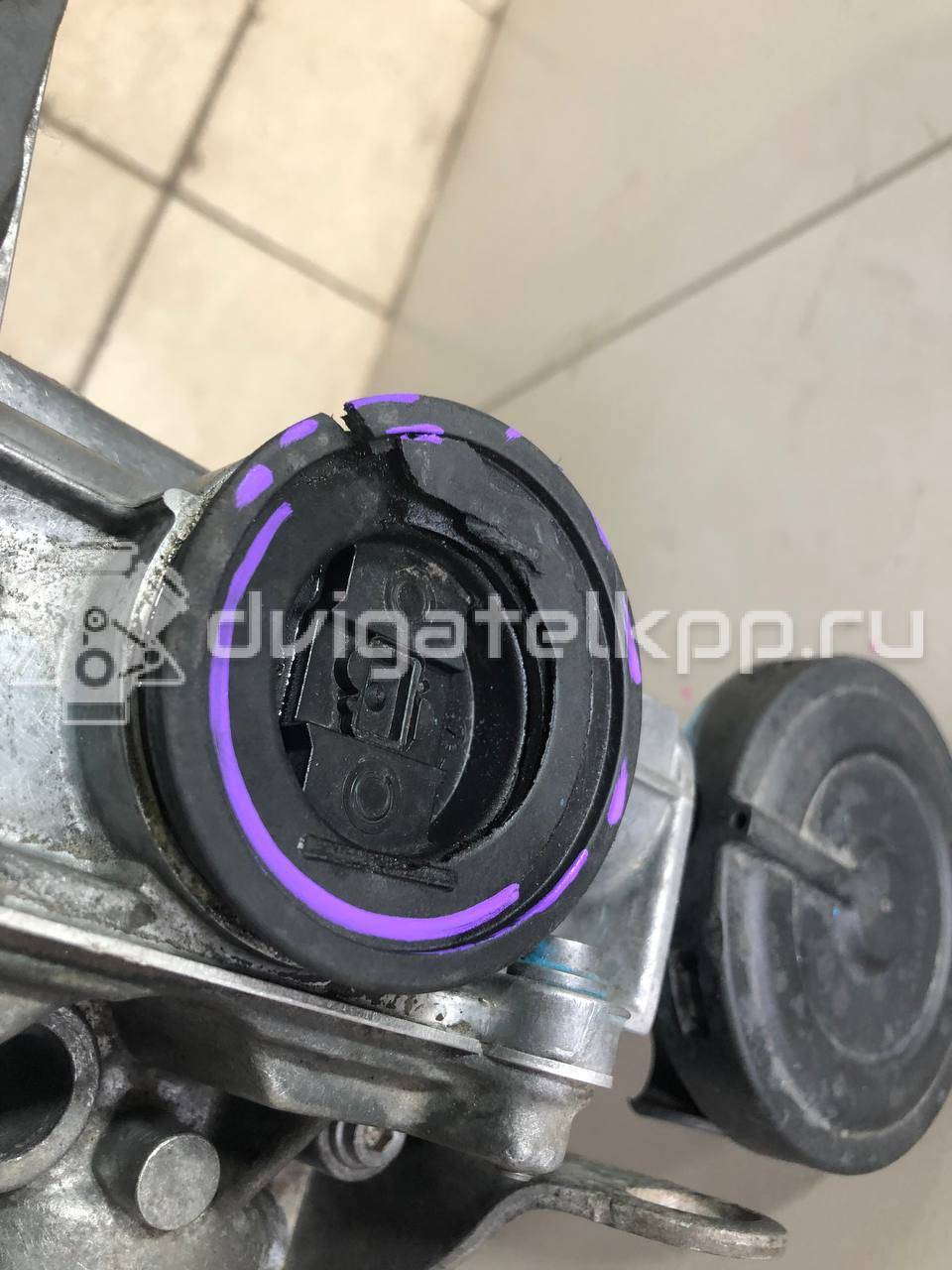 Фото Контрактный (б/у) двигатель CFNA для Volkswagen Vento 105 л.с 16V 1.6 л бензин 03C100039P {forloop.counter}}