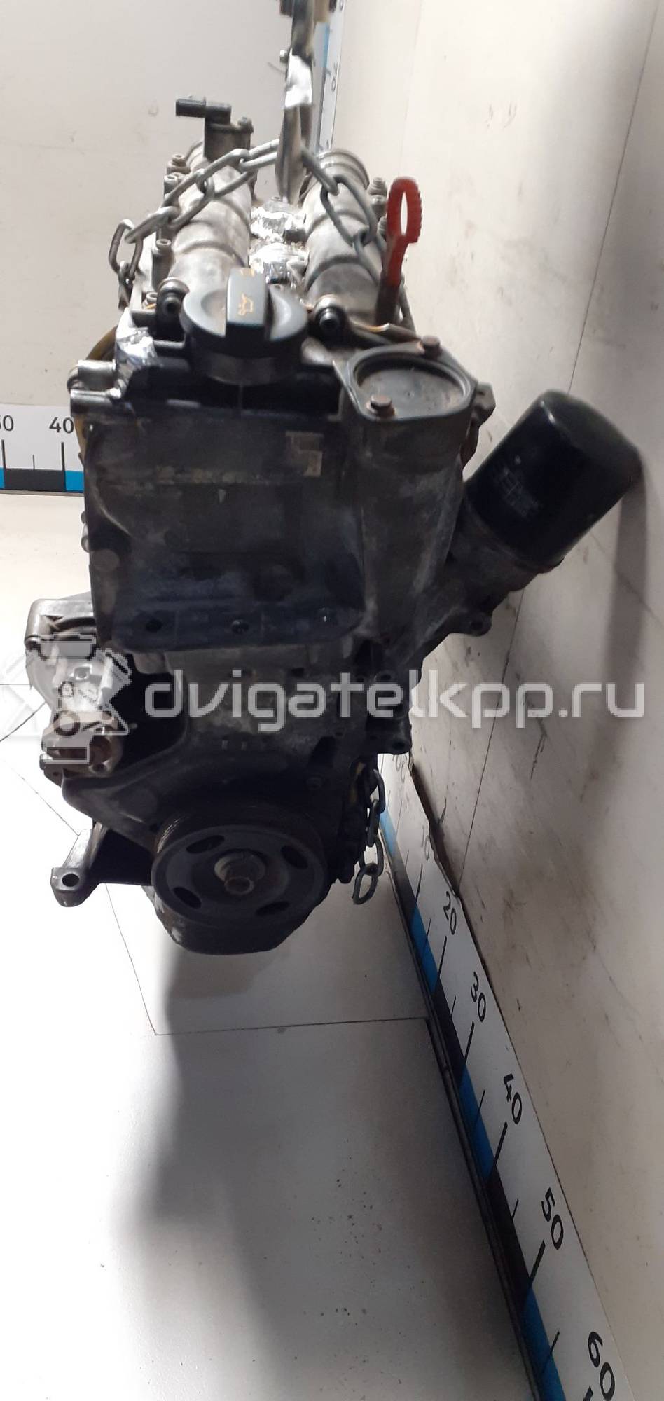 Фото Контрактный (б/у) двигатель CFNA для Volkswagen / Vw (Svw) 105 л.с 16V 1.6 л бензин 03C100092BX {forloop.counter}}