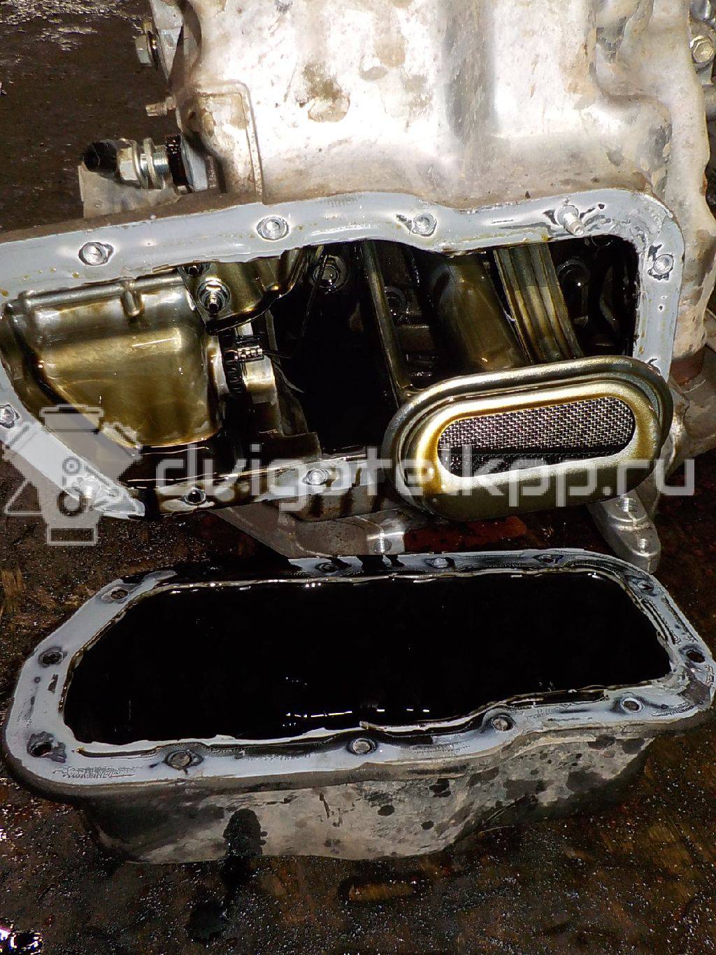 Фото Контрактный (б/у) двигатель 1GD-FTV для Toyota Land Cruiser / Hilux / Fortuner , / Innova 170-177 л.с 16V 2.8 л Дизельное топливо 1900011A62 {forloop.counter}}