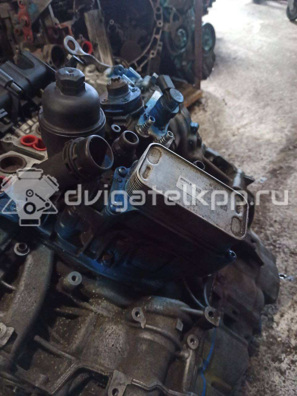 Фото Контрактный (б/у) двигатель N47 D20 C для Bmw 3 / 5 / 1 / 4 / X3 214 л.с 16V 2.0 л Дизельное топливо 11002184389 {forloop.counter}}