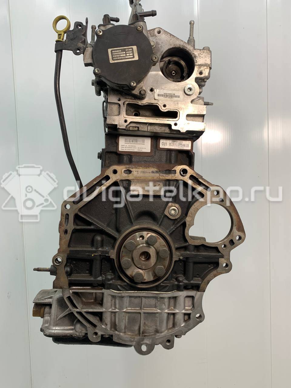 Фото Контрактный (б/у) двигатель Z 22 D1 для Chevrolet / Holden 163-188 л.с 16V 2.2 л Дизельное топливо 25196691 {forloop.counter}}