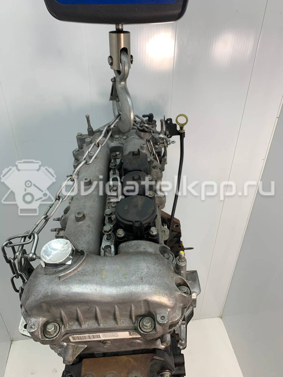 Фото Контрактный (б/у) двигатель Z 22 D1 для Chevrolet / Holden 163-188 л.с 16V 2.2 л Дизельное топливо 25196691 {forloop.counter}}