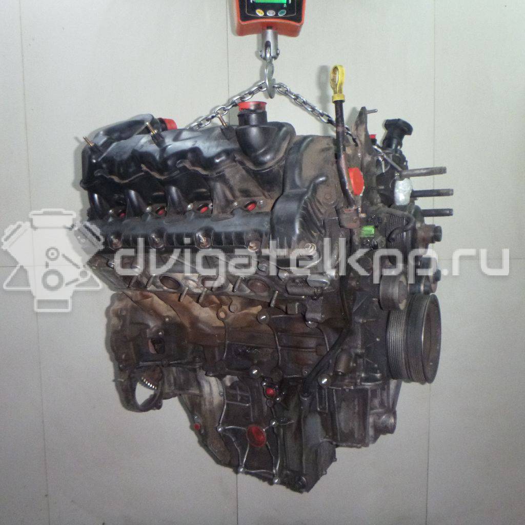 Фото Контрактный (б/у) двигатель 368DT для Land Rover Range Rover 272 л.с 32V 3.6 л Дизельное топливо LR006676 {forloop.counter}}