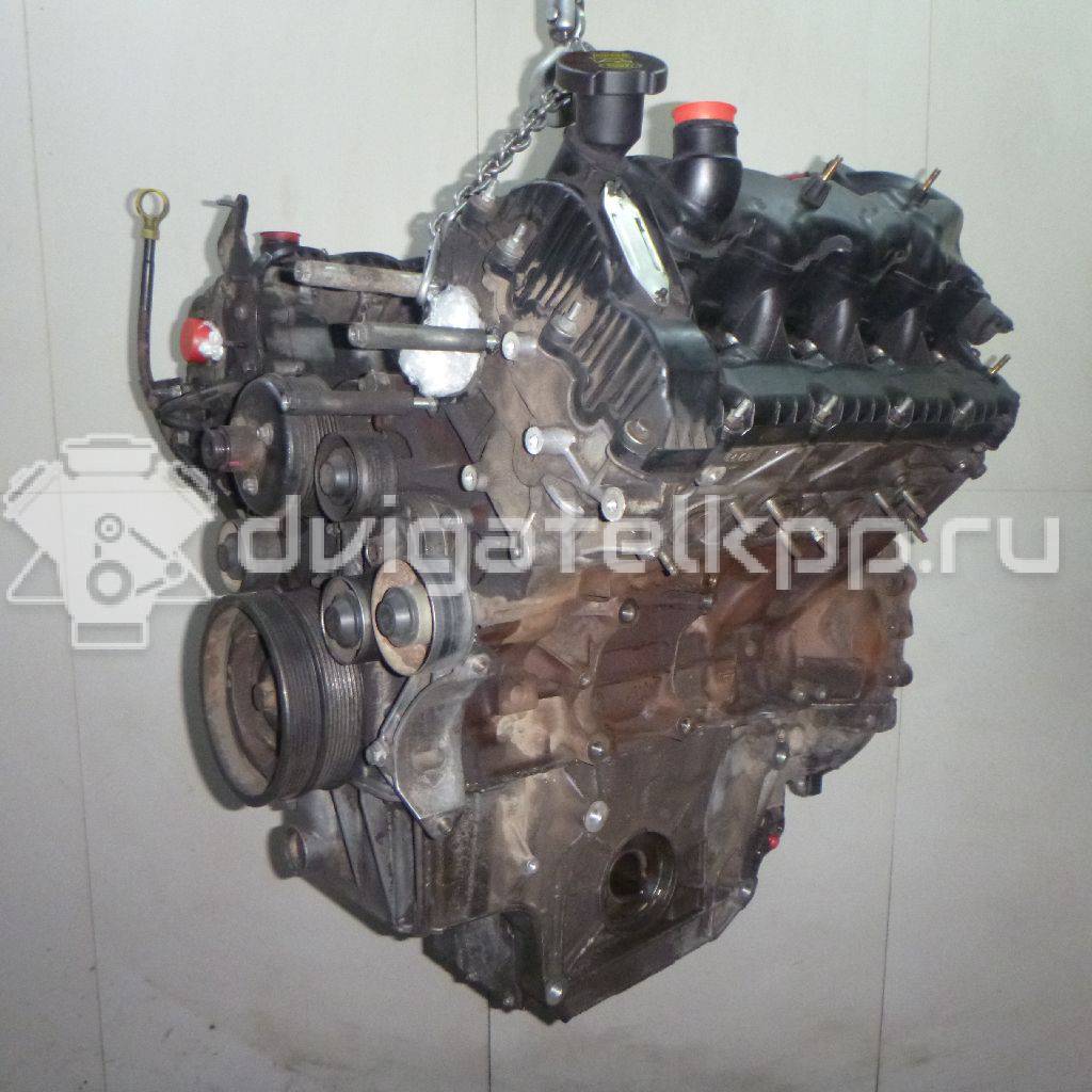 Фото Контрактный (б/у) двигатель 368DT для Land Rover Range Rover 272 л.с 32V 3.6 л Дизельное топливо LR006676 {forloop.counter}}