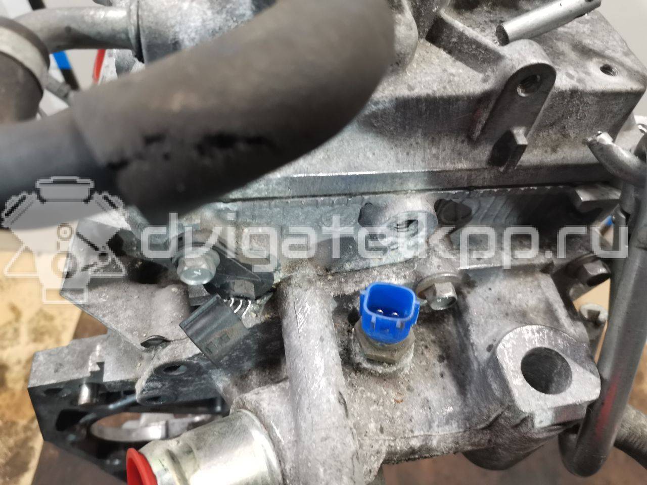 Фото Контрактный (б/у) двигатель HR16DE для Dongfeng (Dfac) / Nissan (Zhengzhou) / Samsung / Mazda / Nissan / Mitsubishi / Nissan (Dongfeng) 87-140 л.с 16V 1.6 л Бензин/спирт 10102BC23F {forloop.counter}}