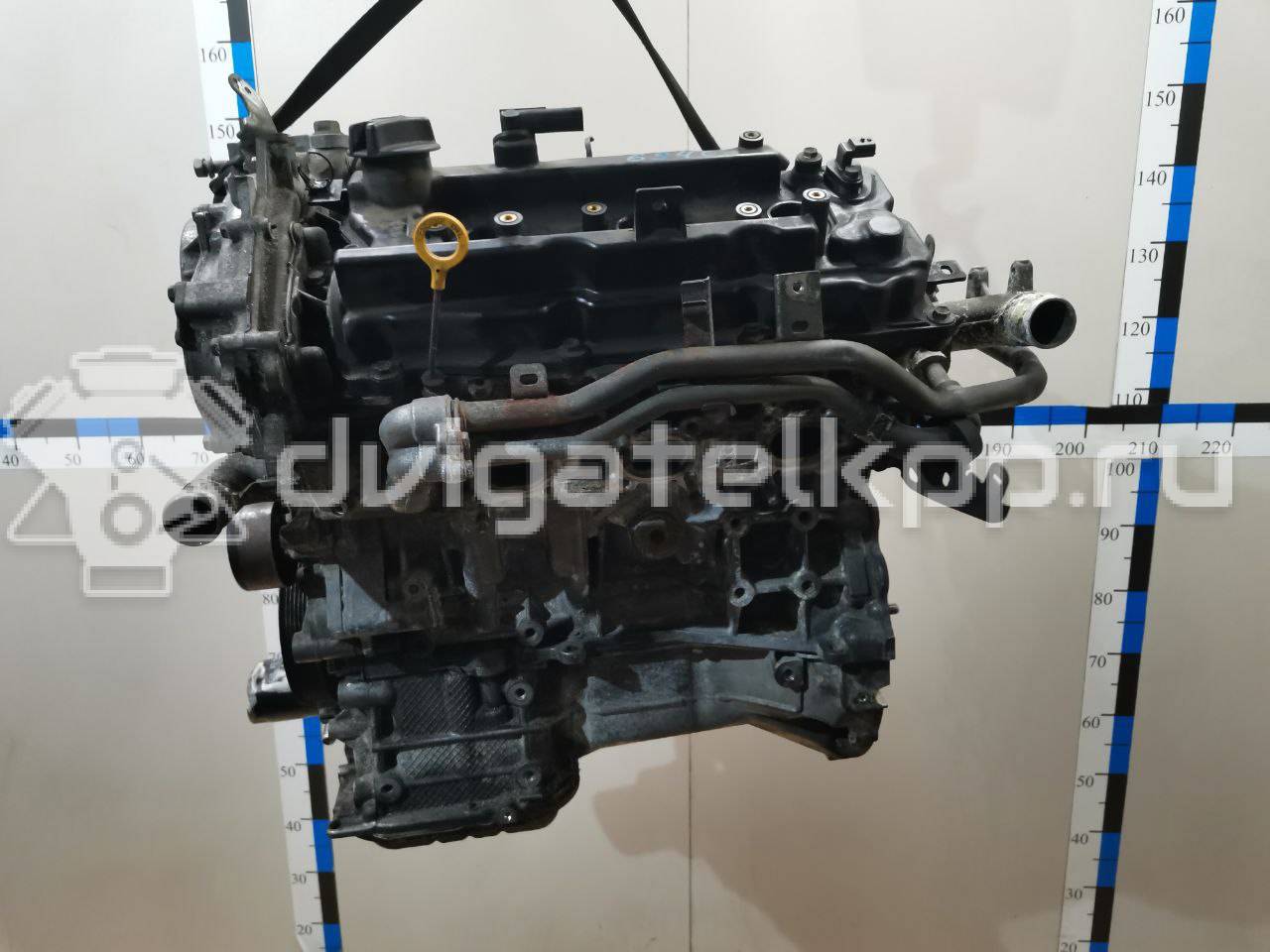 Фото Контрактный (б/у) двигатель VQ35DE для Infiniti / Mitsuoka / Isuzu / Nissan / Nissan (Dongfeng) 243-284 л.с 24V 3.5 л бензин 10102JP0A2 {forloop.counter}}