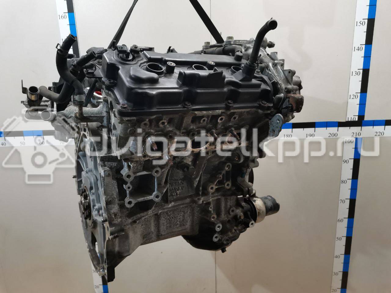 Фото Контрактный (б/у) двигатель VQ35DE для Infiniti / Mitsuoka / Isuzu / Nissan / Nissan (Dongfeng) 231-310 л.с 24V 3.5 л бензин 10102JP0A2 {forloop.counter}}